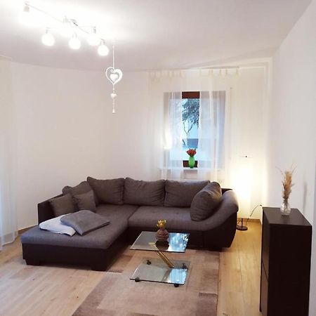 Ebenerdige Ferienwohnung Mit Grosser Terrasse In Der Naehe Des Waldes, Zum Wohlfuehlen Schoneck Екстер'єр фото
