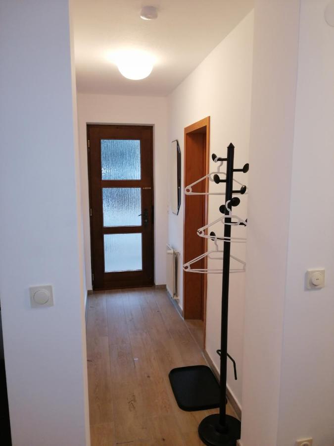 Ebenerdige Ferienwohnung Mit Grosser Terrasse In Der Naehe Des Waldes, Zum Wohlfuehlen Schoneck Екстер'єр фото